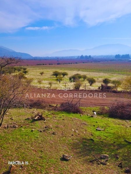Parcelas en Venta en Placilla 5.000 mt