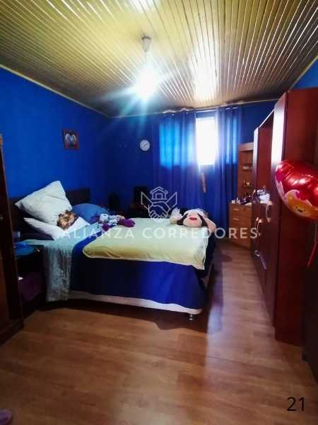Miniatura 12