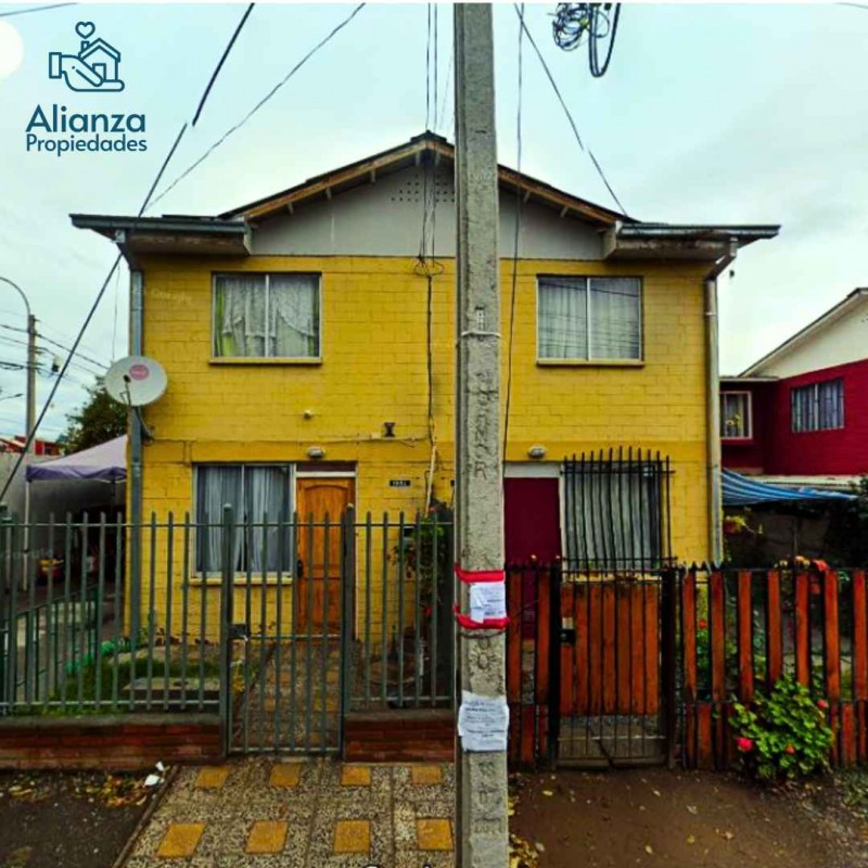 Miniatura 31