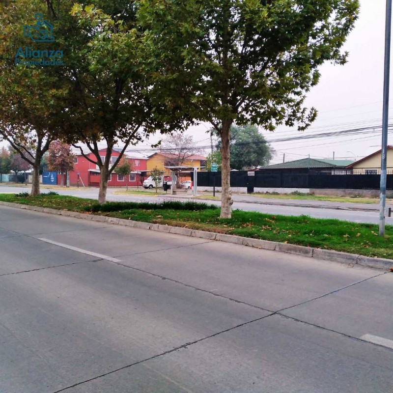Miniatura 23